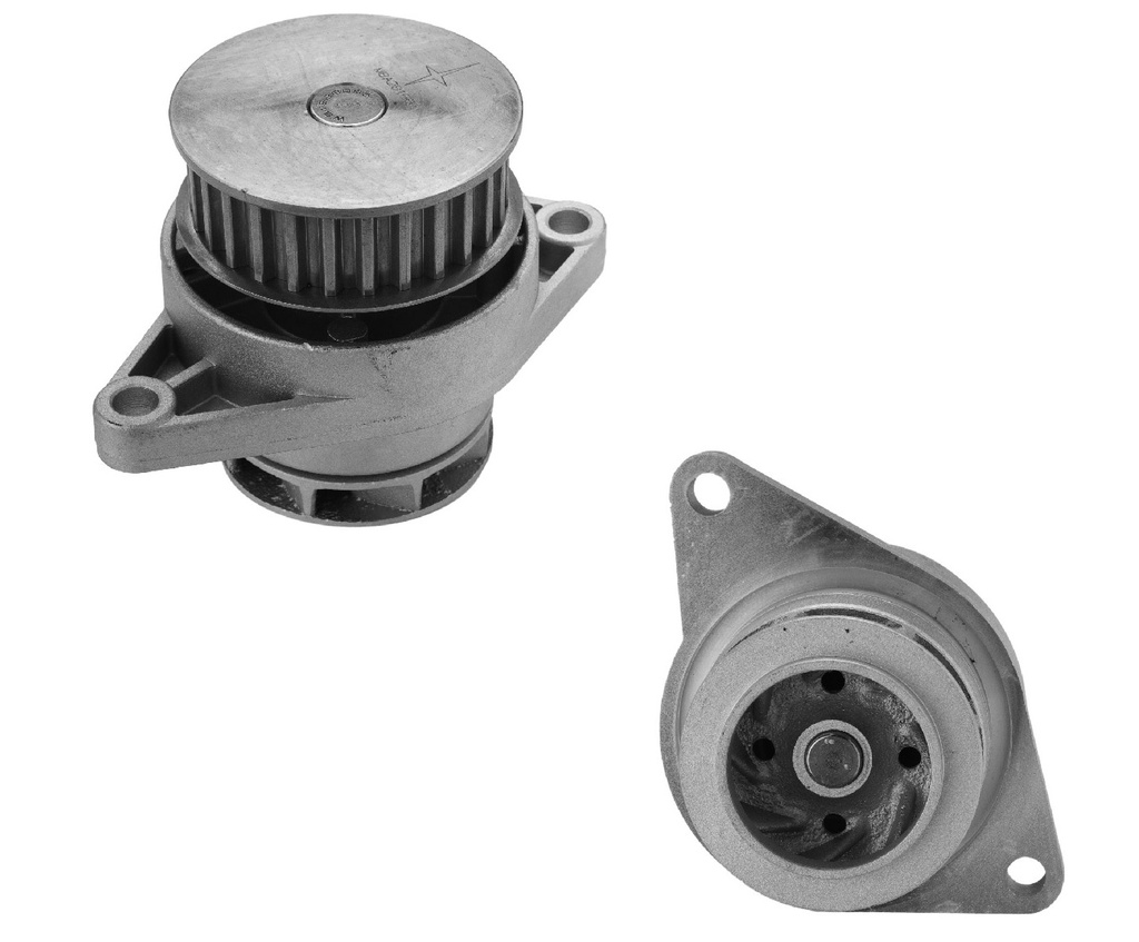 [P2259] Bomba de Agua CARTER - P2259