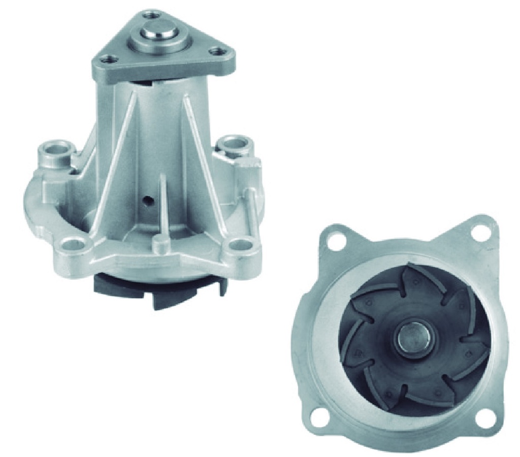 [P860] Bomba de Agua CARTER - P860