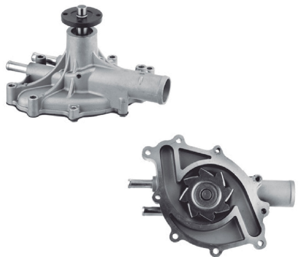 [P861] Bomba de Agua CARTER - P861