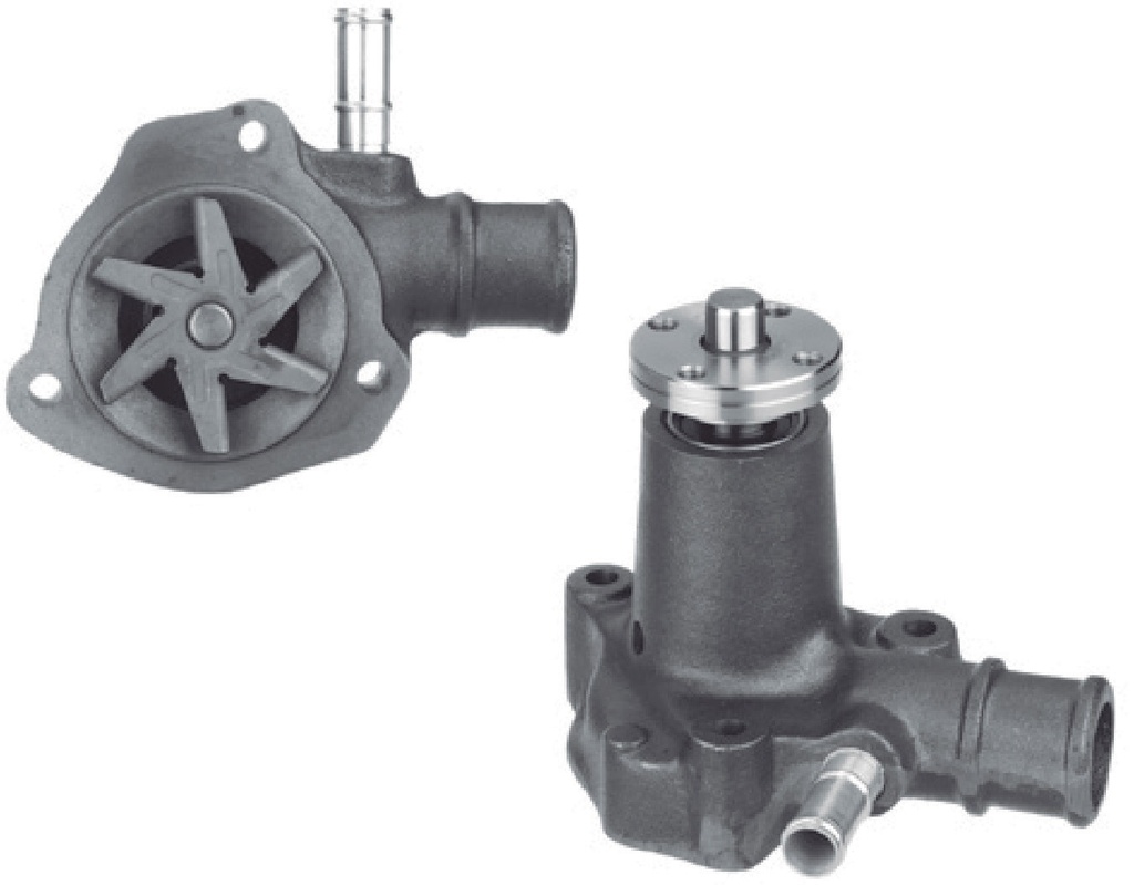 Bomba de Agua CARTER - P878