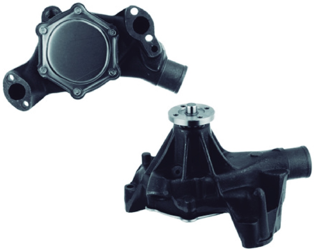 [P910] Bomba de Agua CARTER - P910