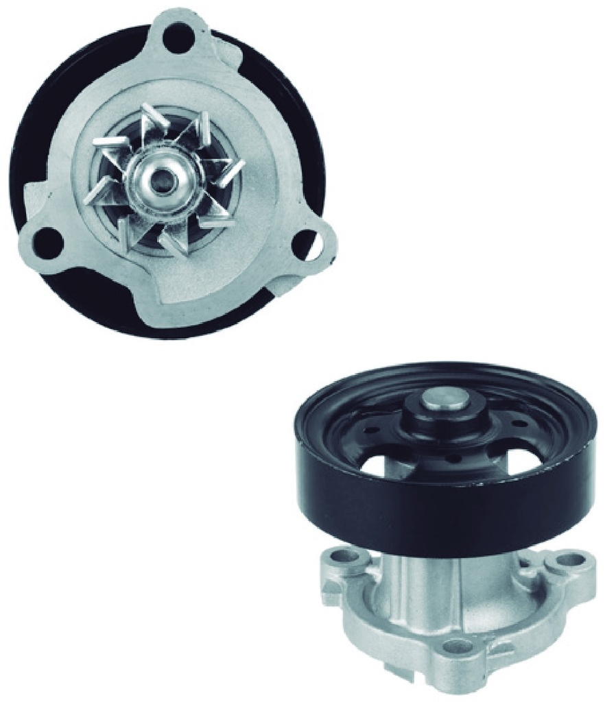 [P9427] Bomba de Agua CARTER - P9427