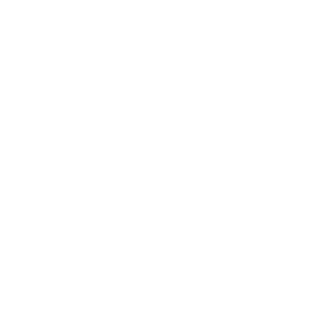 Pitsauto